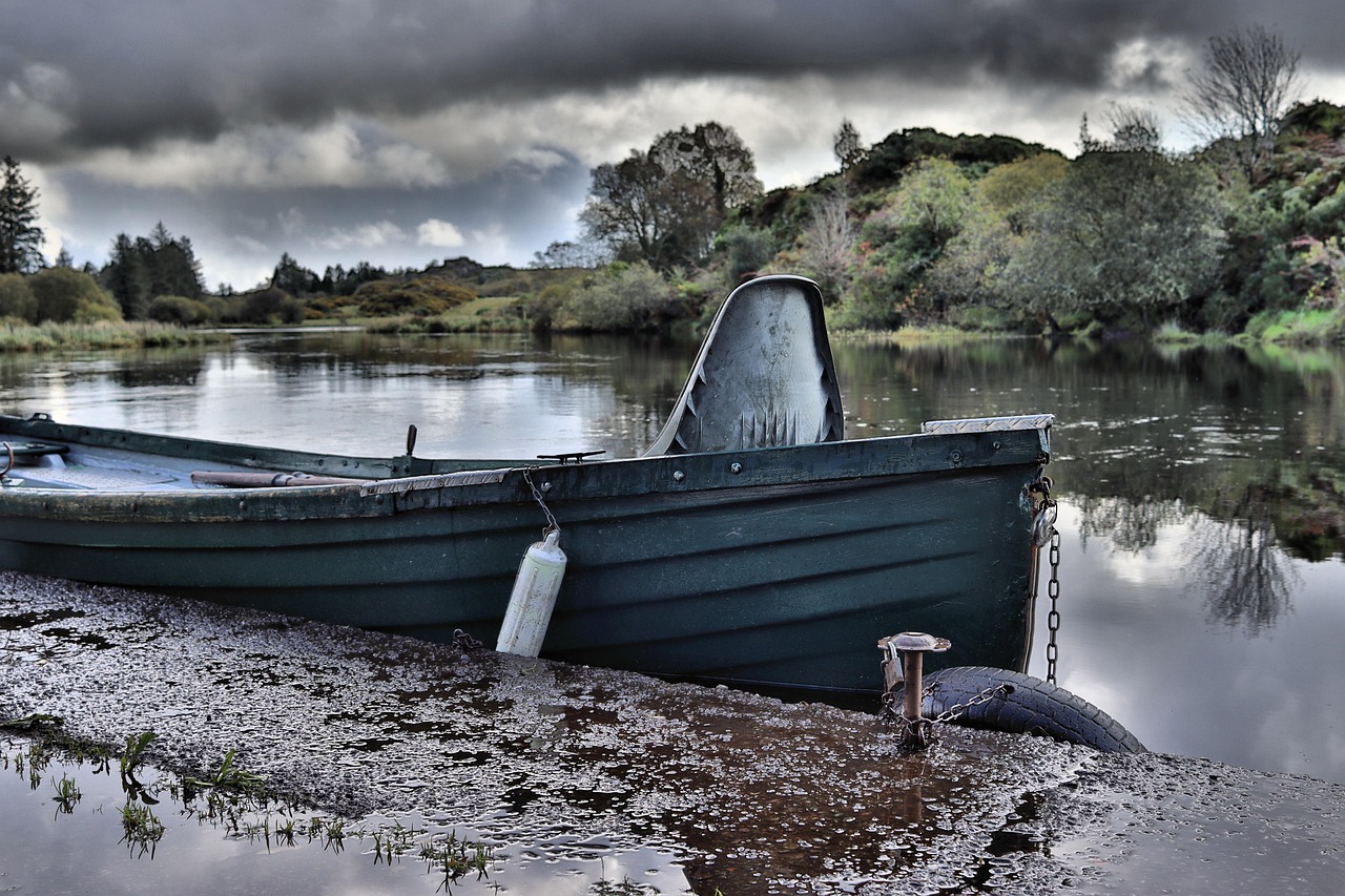 Rain, Gloom, and Grey Water: Shooting Kingfishers in Bad Weather